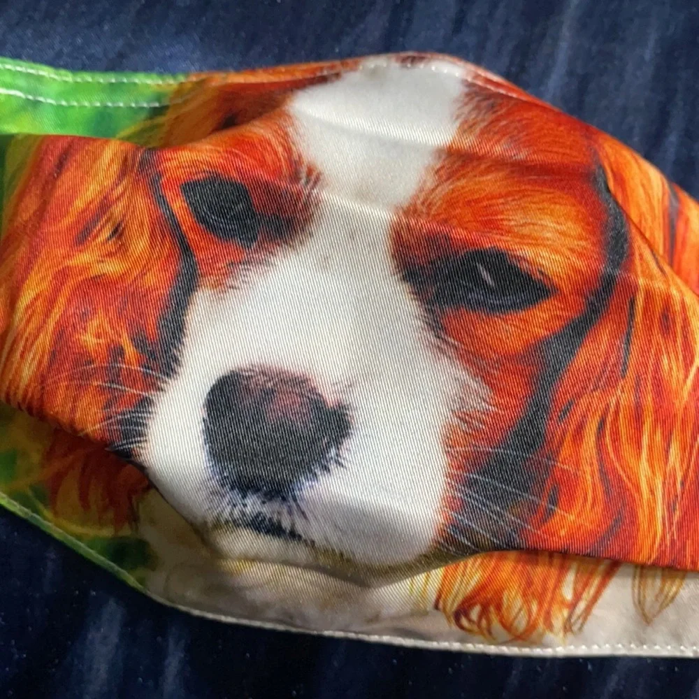 6/$20 New dog face mask